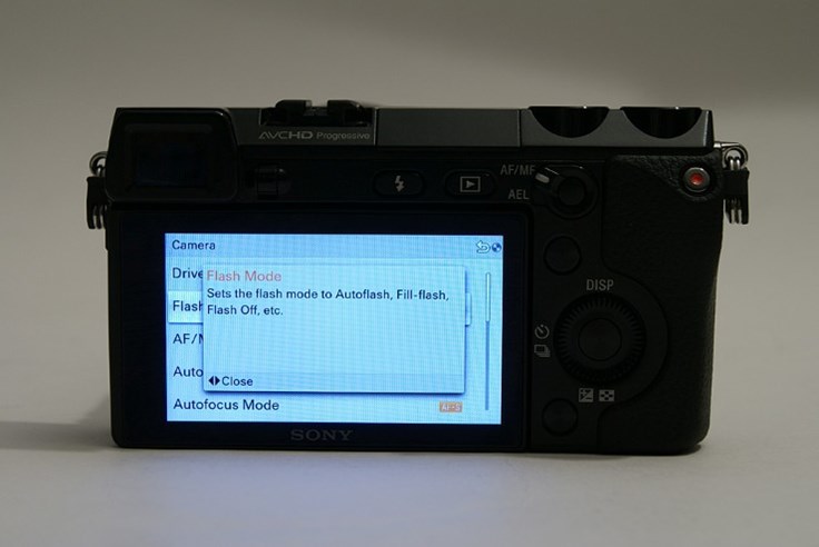 Sony NEX-7 test (14).jpg